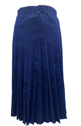 Fillmore Denim Pleat Maxi Skirt